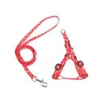 Postroj s vodítkem packy a kostičky červený 25 - 40 cm