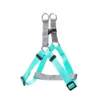 S Postroj basic šedo tyrkysový 20 - 40 cm