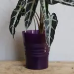 Plastový květináč na orchidej tmavě fialový Ø 11 cm