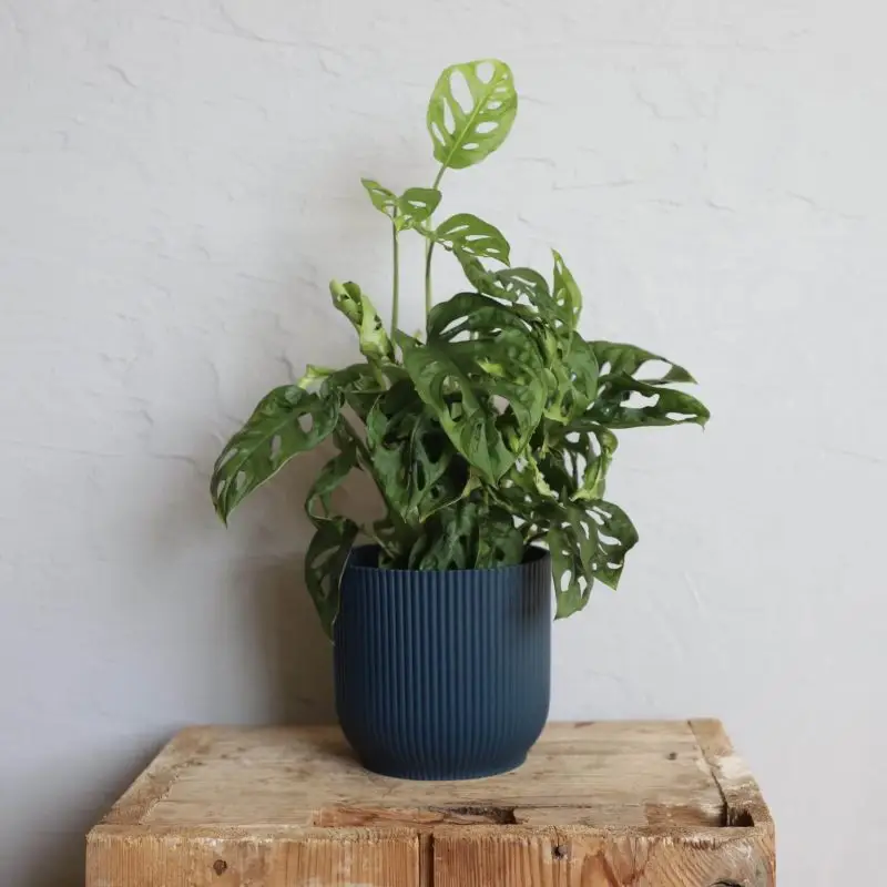 Elho plastový květináč Vibes fold deep blue Ø 11 cm