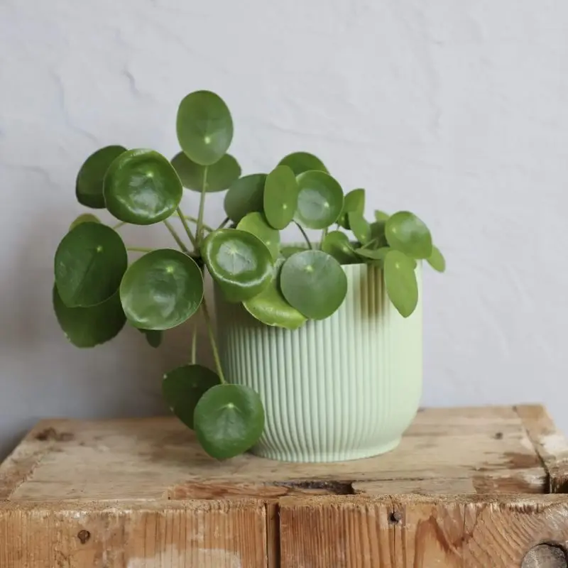 Elho plastový květináč Vibes fold sorbet green Ø 11 cm