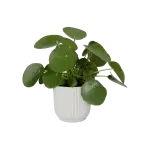 Elho plastový květináč Vibes fold silky white Ø 16 cm
