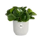 Elho plastový květináč Vibes fold silky white Ø 16 cm