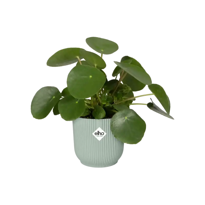 Elho plastový květináč Vibes fold sorbet green Ø 11 cm