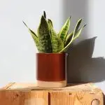 Květináč Eno Duo dusty terracotta Ø 12 cm
