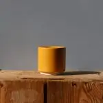 Kvétináč Eno Duo ocher Ø 7 cm