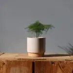 Květináč Eno Duo white Ø 7 cm