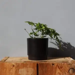 Květináč Eno Matt black Ø 10 cm