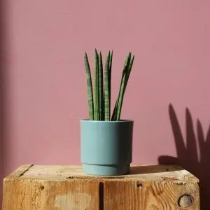 Květináč Eno Matt dusty petrol Ø 10 cm