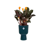 Elho plastový květináč Vibes fold Coupe deep blue Ø 14 cm