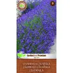 MoravoSeed levandule lékařská 0,5 g