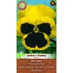 MoravoSeed fialka zahradní (sirôtka) – žlutá s okem 0,3 g