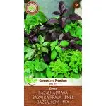 MoravoSeed bazalka pravá – směs 0,5 g
