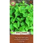 MoravoSeed Kopřiva dvoudomá 0,5 g