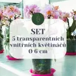 set-transparentnich-kvetinacu-6-cm-rostlinkovo