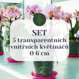 set-transparentnich-kvetinacu-6-cm-rostlinkovo