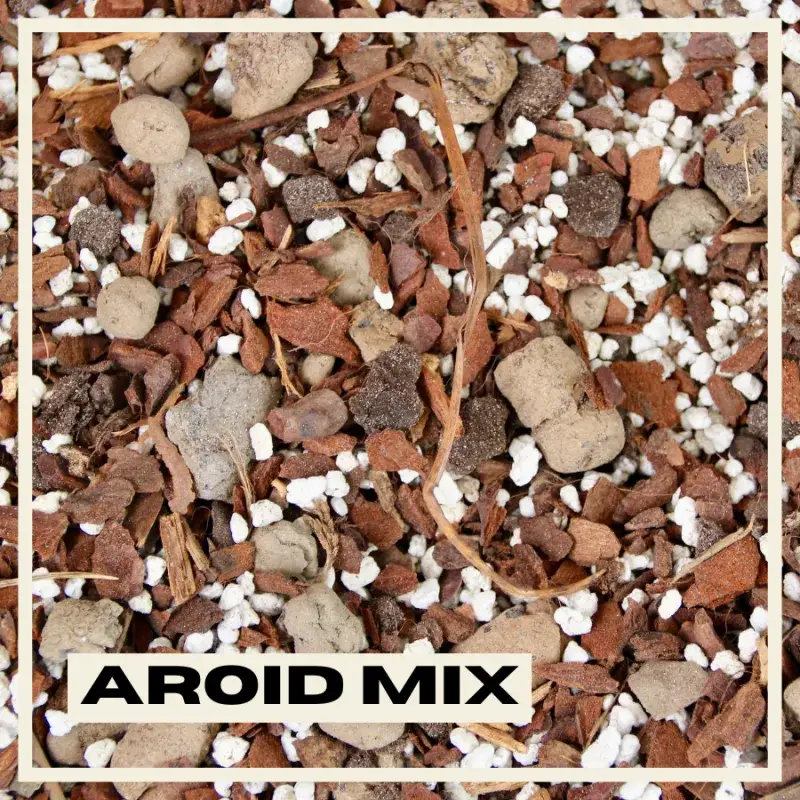 aroid-mix-substrat-rostlinkovo