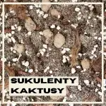 sukulenty-kaktusy-substrat-rostlinkovo