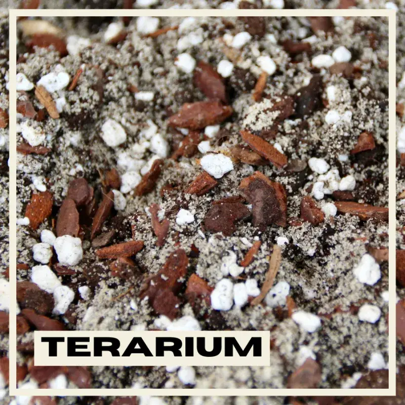 terarium-substrat-rostlinkovo