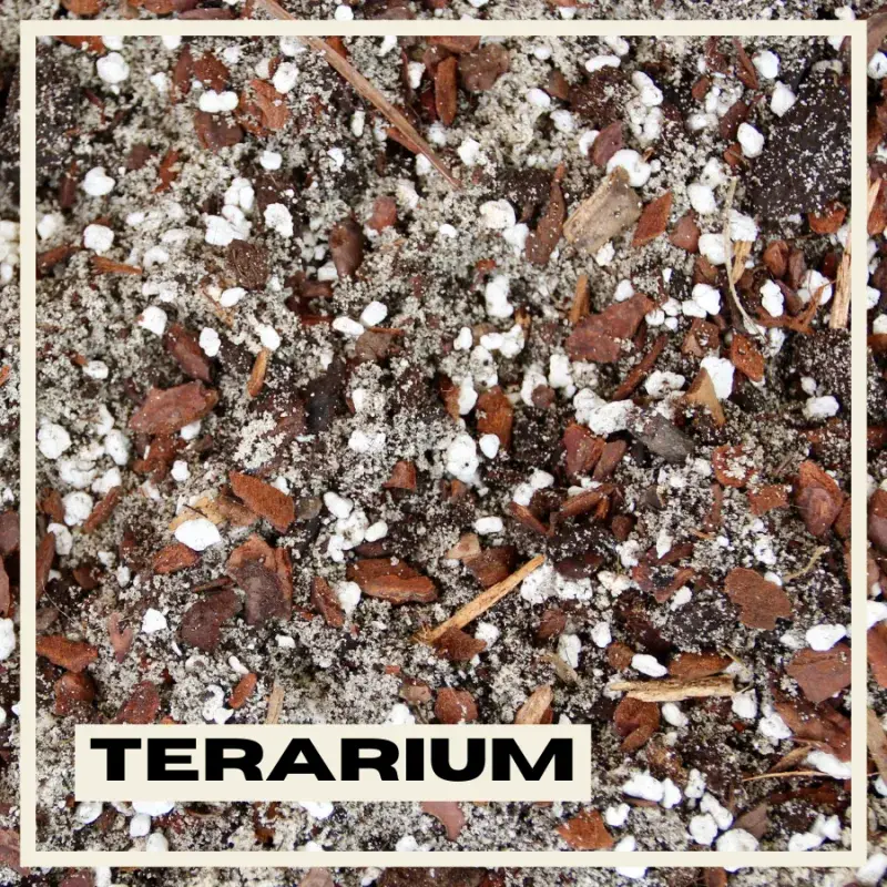 terarium-substrat-rostlinkovo