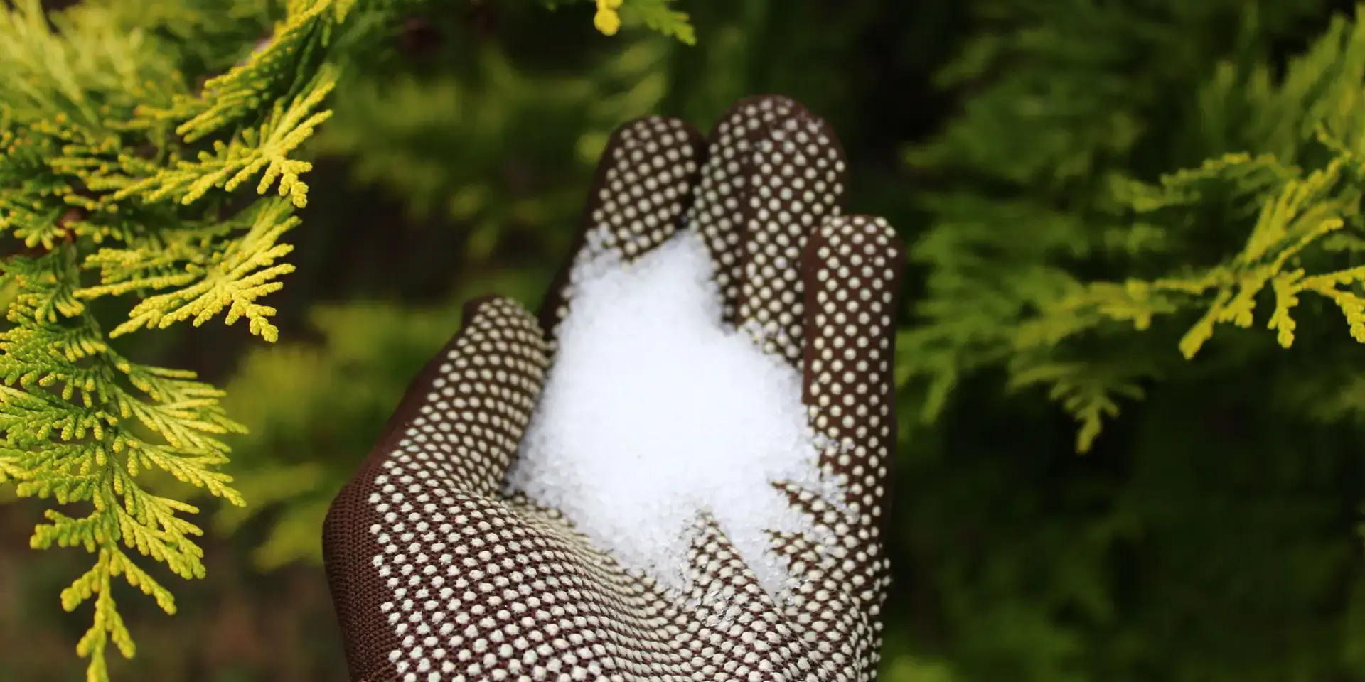 horka-sul-epsomska-sul-rostlinkovo