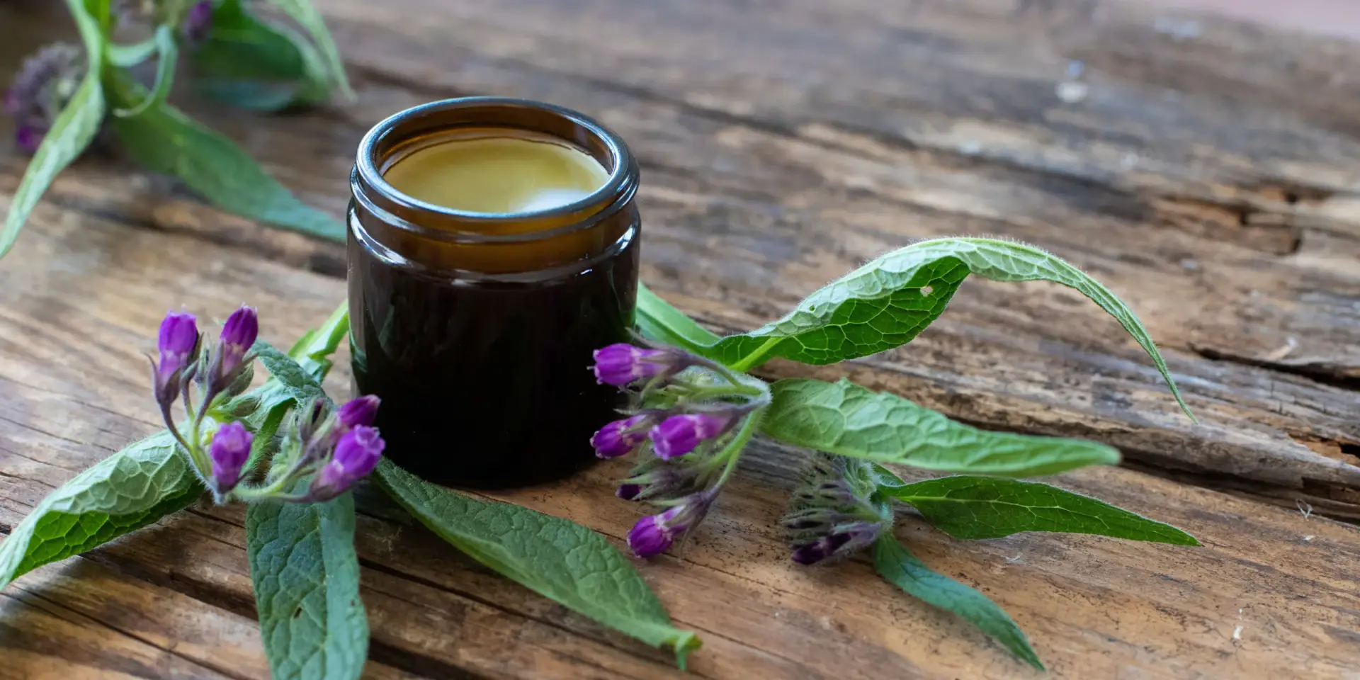 kostihoj-rostlinkovo