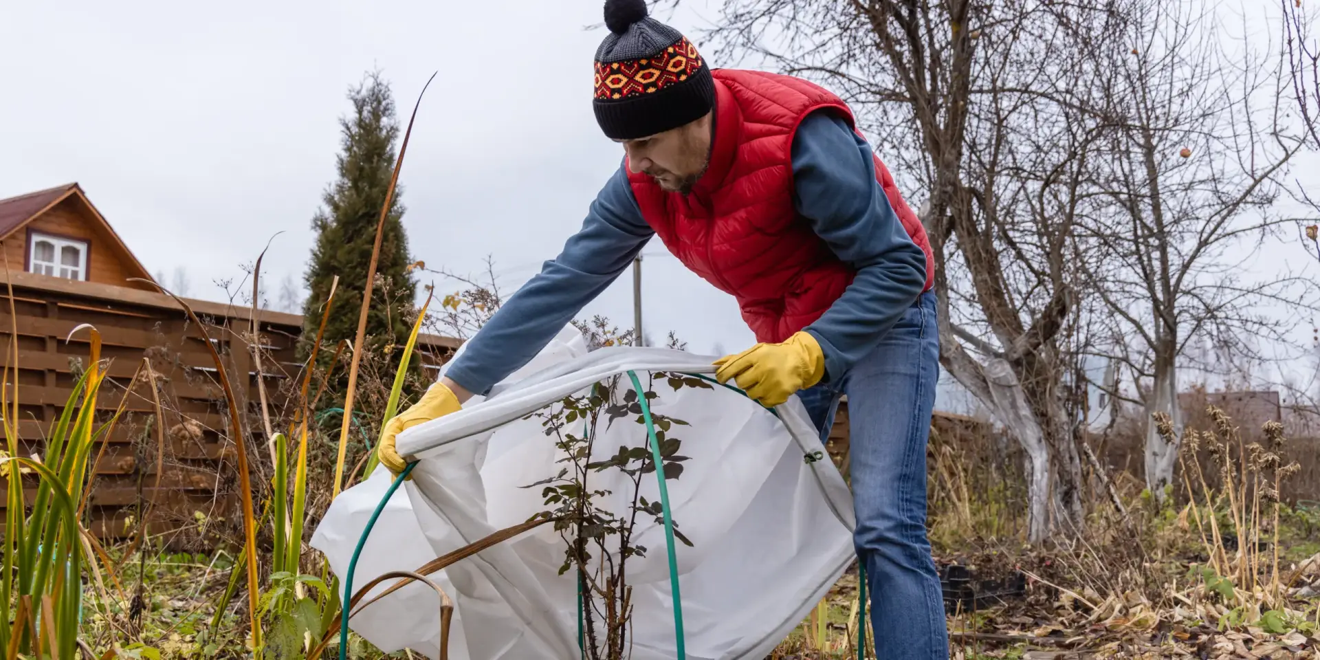 zazimovani-rostlin-rostlinkovo