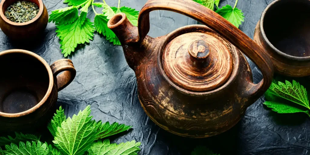 Kopřiva-rostlinkovo