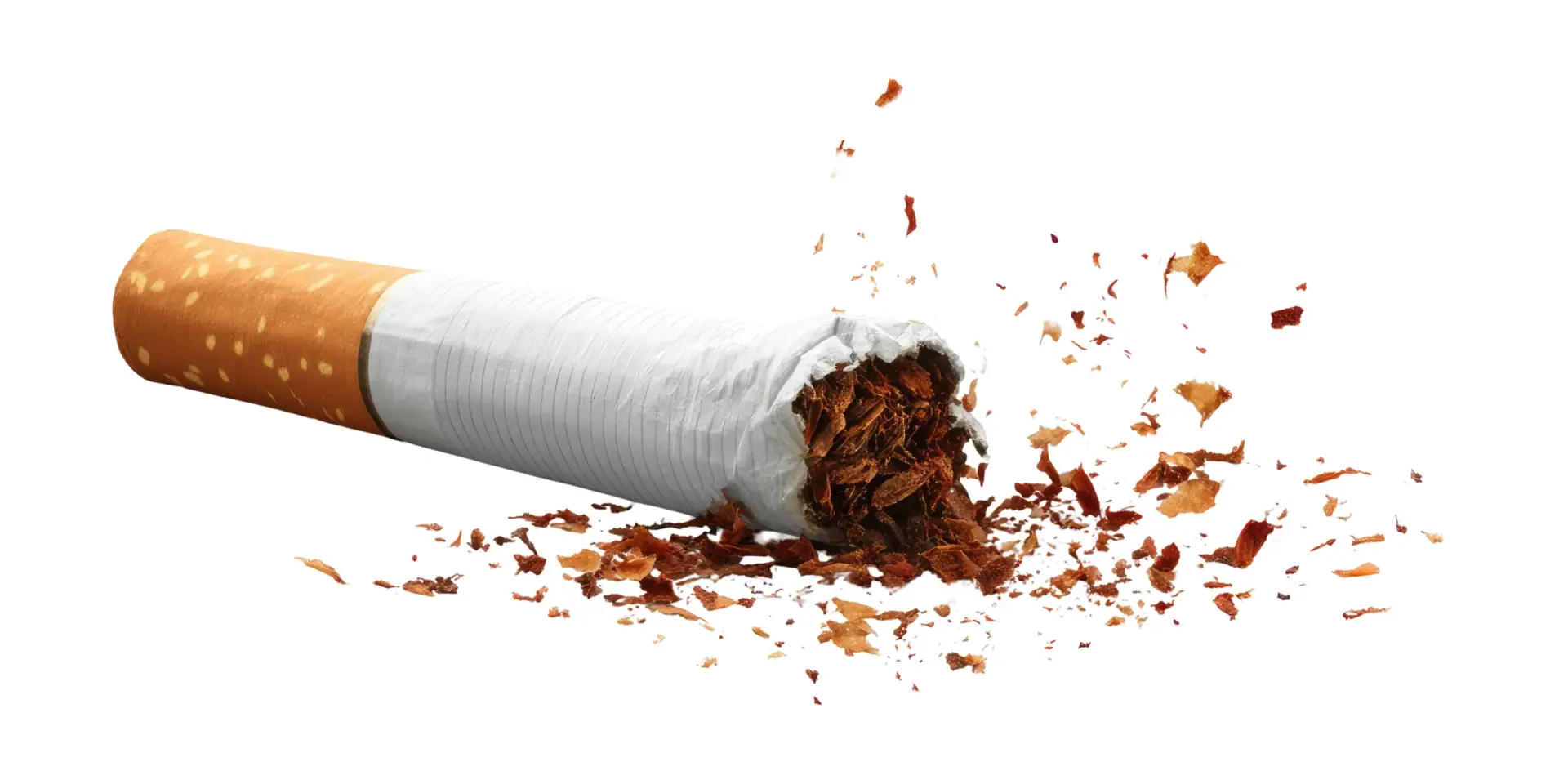 rostliny-proti-koureni-rostlinkovo