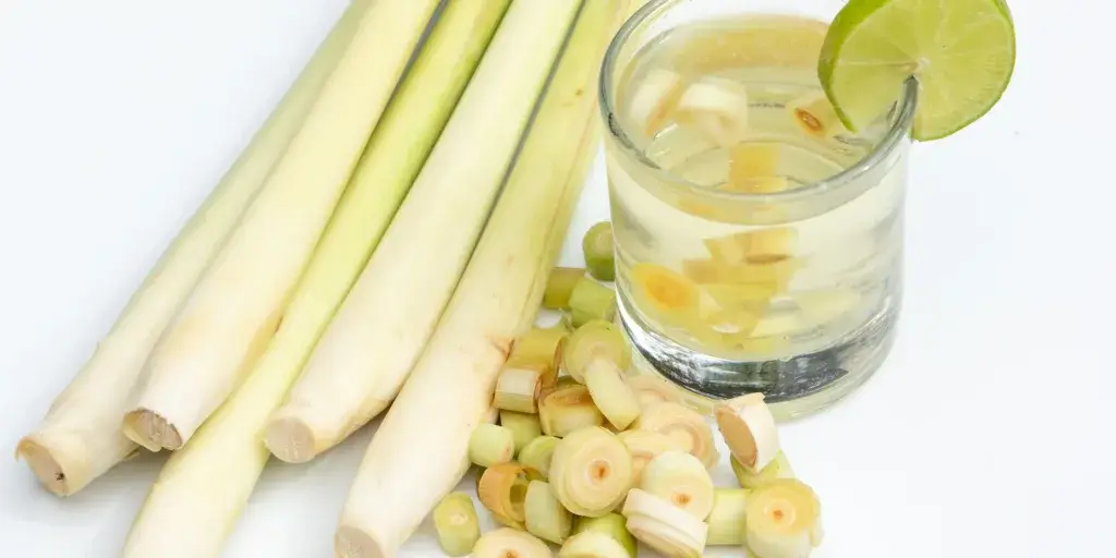 citronela-citronova-trava-rostlinkovo