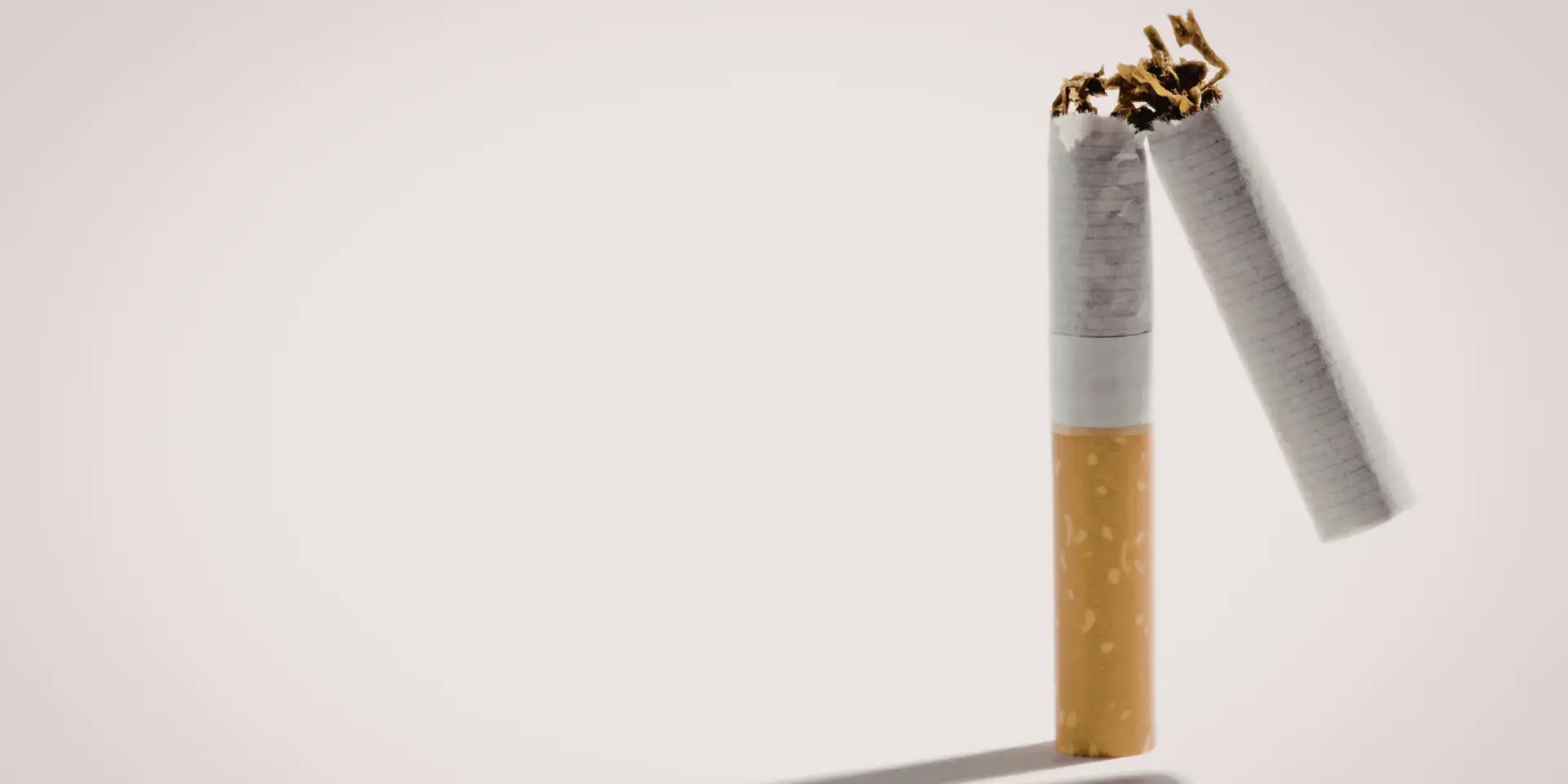 rostliny-proti-koureni-rostlinkovo