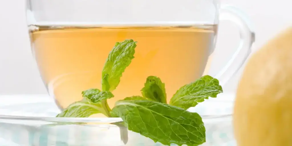 Máta-peprná-léčivé-rostliny-rostlinkovo