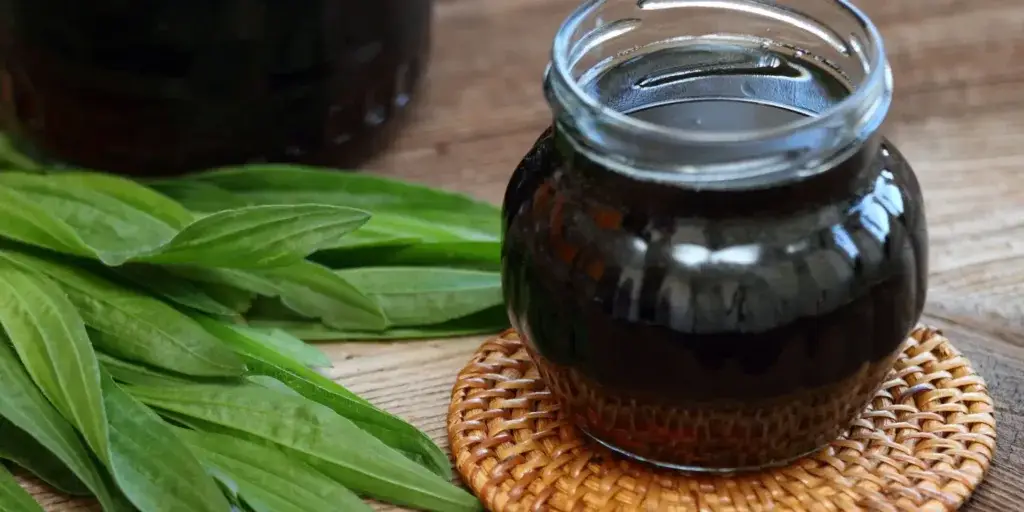 jitrocel-lecive-rostliny-rostlinkovo