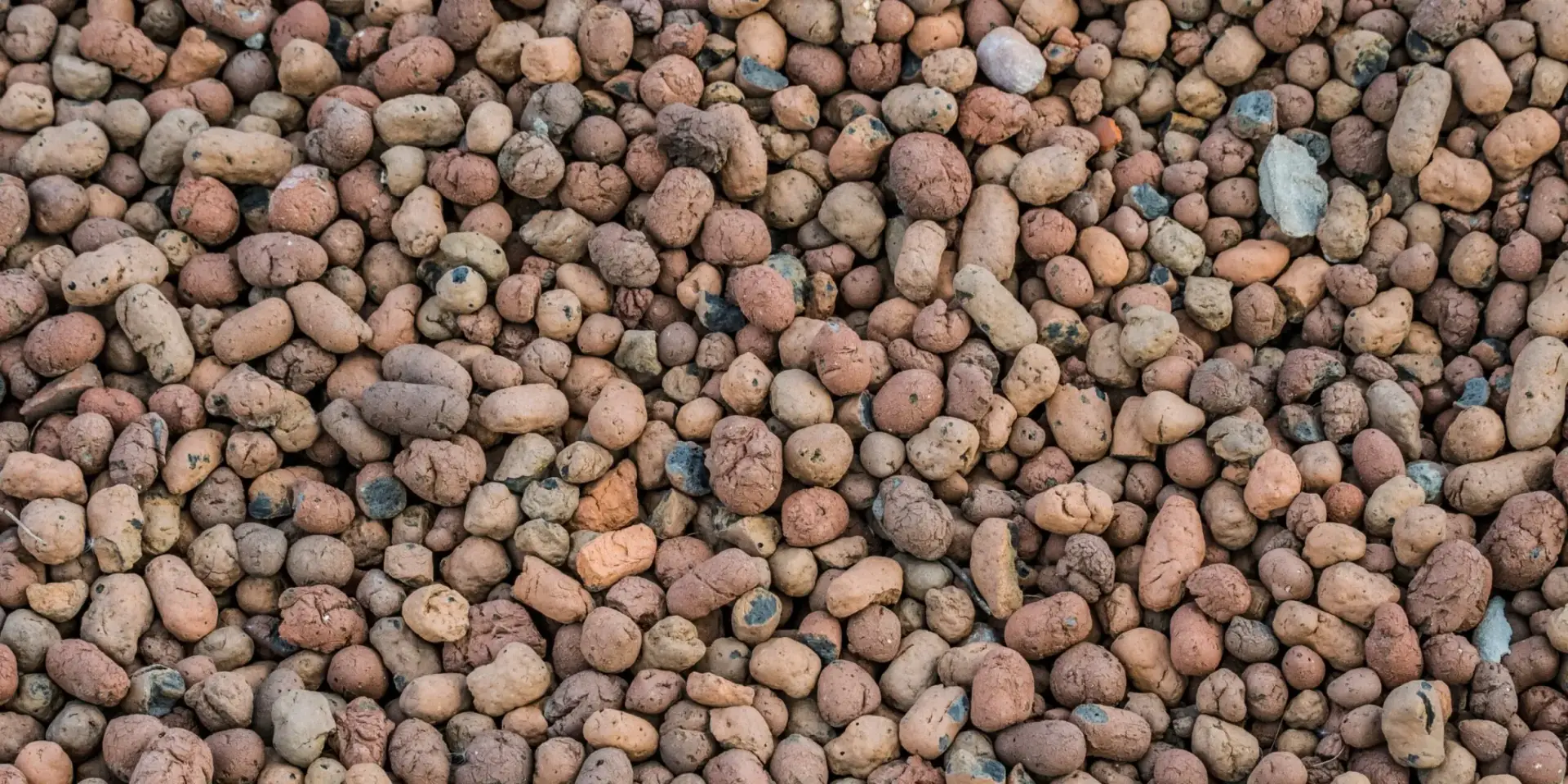 keramzit-pouziti-rostlinkovo