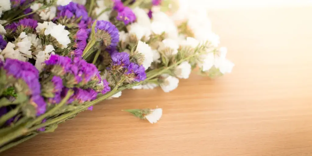 Limonka-zprohýbaná-rostlinkovo