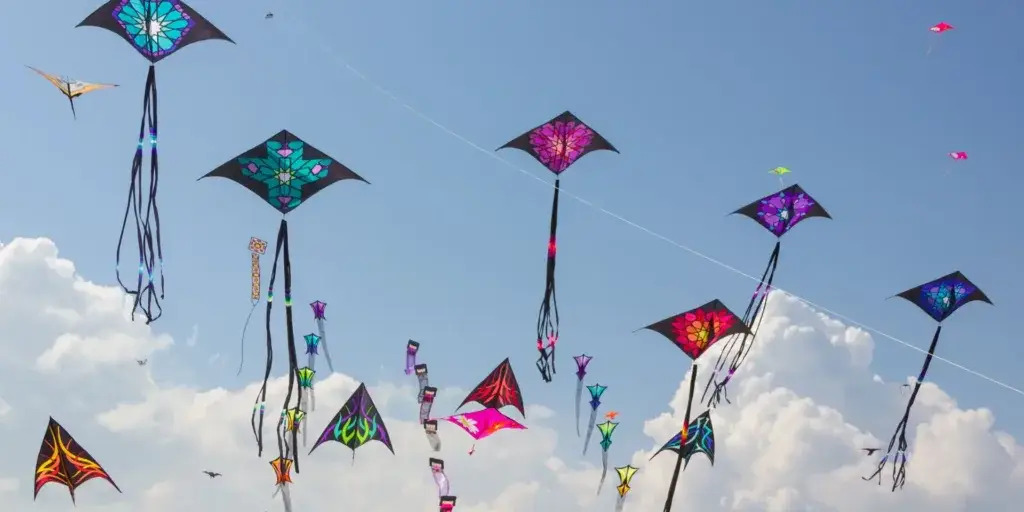 jak-vyrobit-draka-rostlinkovo