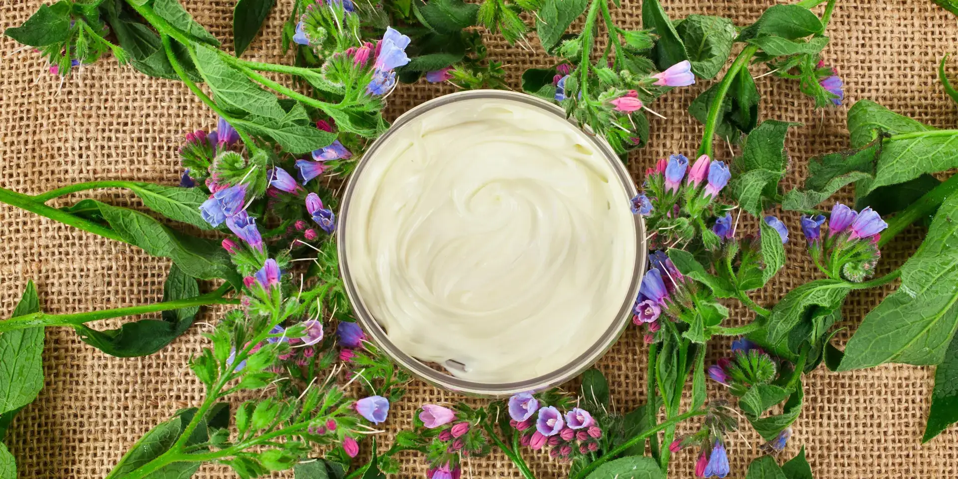 Kostival-léčivá-rostlina-rostlinkovo