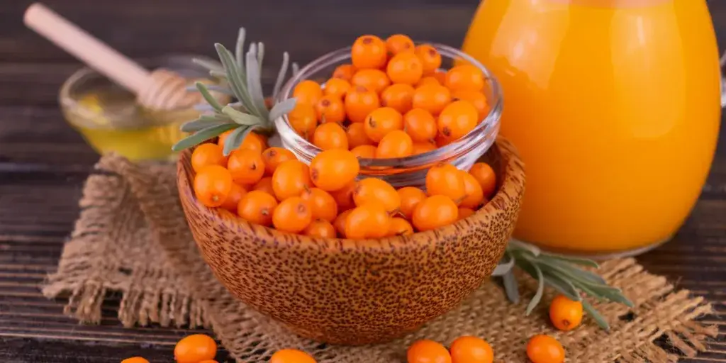 rakytník-rostlinkovo