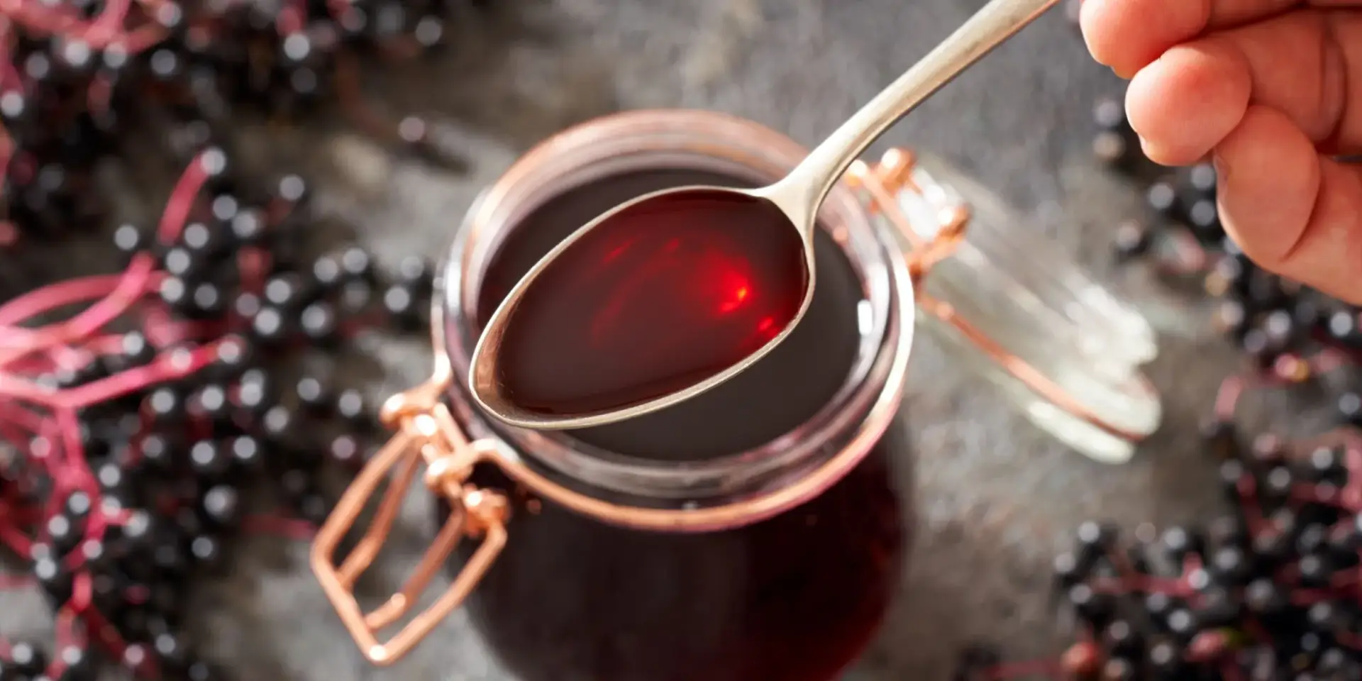 Bez-černý-Sambucus-nigra-rostlinkovo