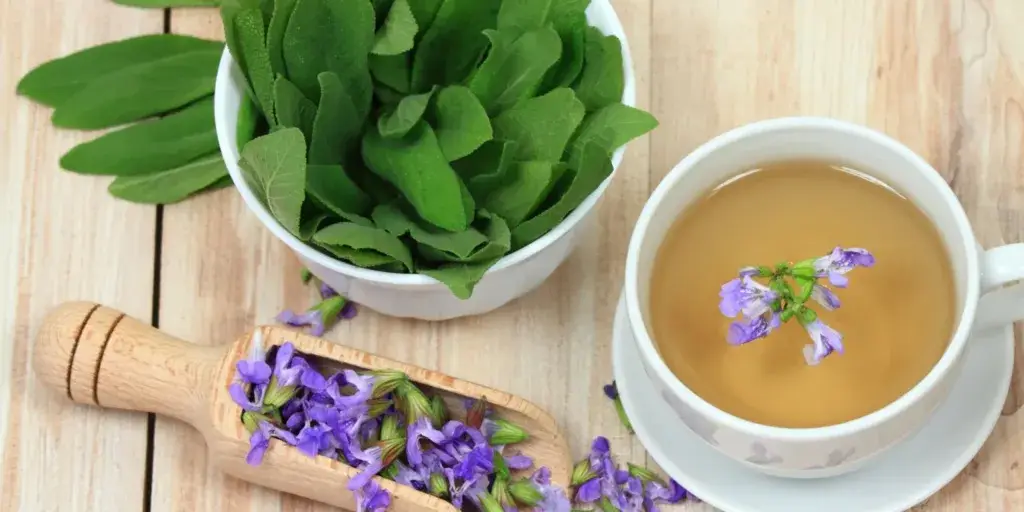 Šalvěj-lékařská-rostlinkovo