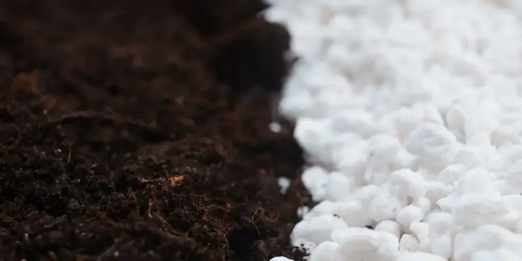 perlit-vermikulit-rozdil-rostlinkovo