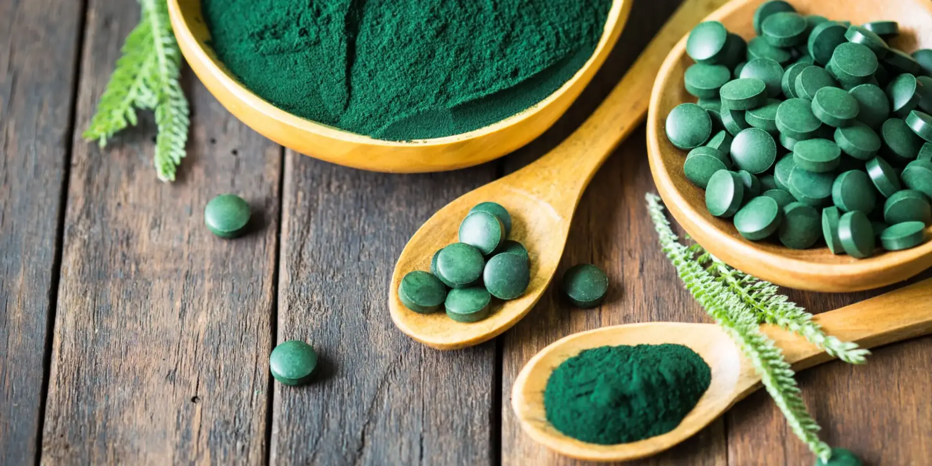spirulina-rostlinkovo