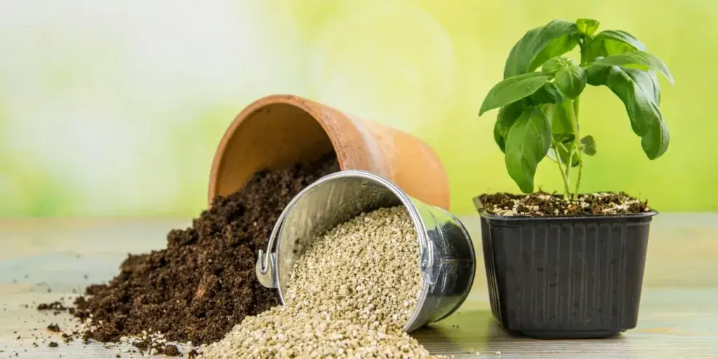 perlit-vermikulit-rozdil-rostlinkovo