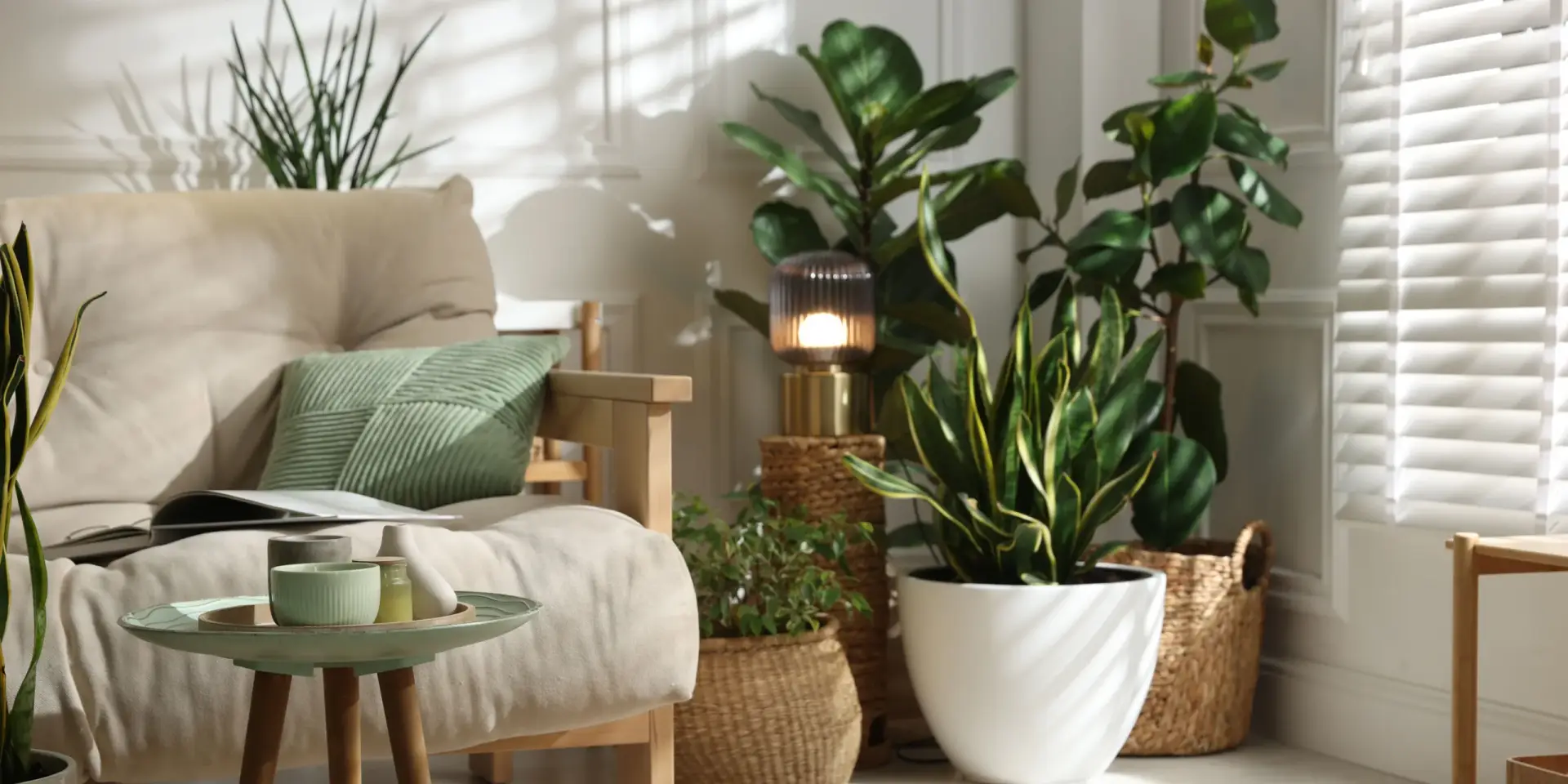 Jak-nespálit-rostliny-během-letnění-rostlinkovo