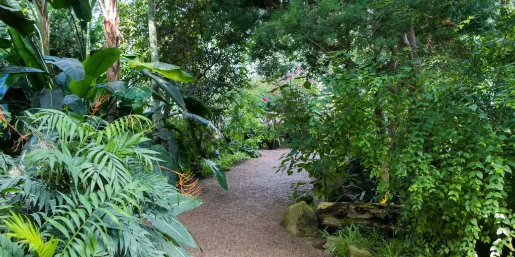 Škůdci-v-zahradě-rostlinkovo