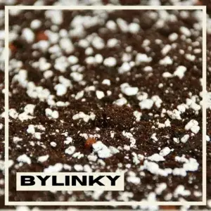 substrat-pro-bylinky-rostlinkovo