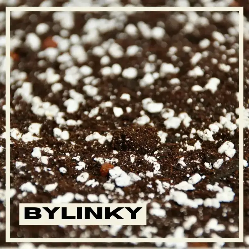 substrat-pro-bylinky-rostlinkovo