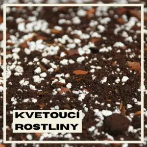 substrat-pro-kvetouci-rostliny-rostlinkovo