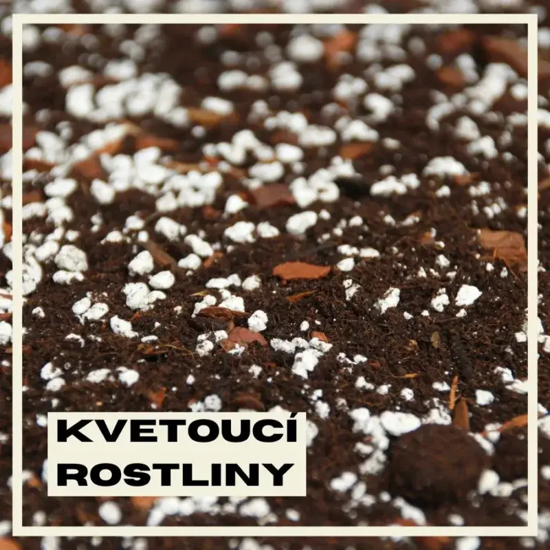 substrat-pro-kvetouci-rostliny-rostlinkovo