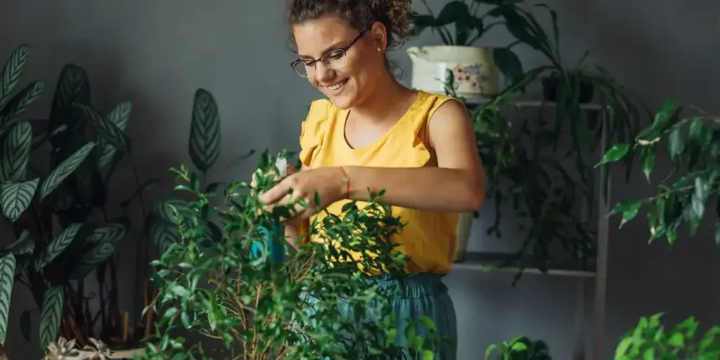 Jak-zachránit-pokojovou-rostlinu-a-nic-nepokazit-rostlinkovo